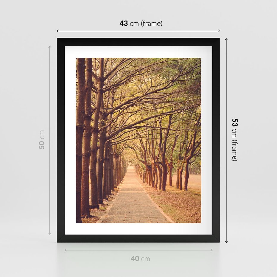 Plakat w ramie 40x50 - Wędrówka między drzewami - droga, drzewa - rama czarna