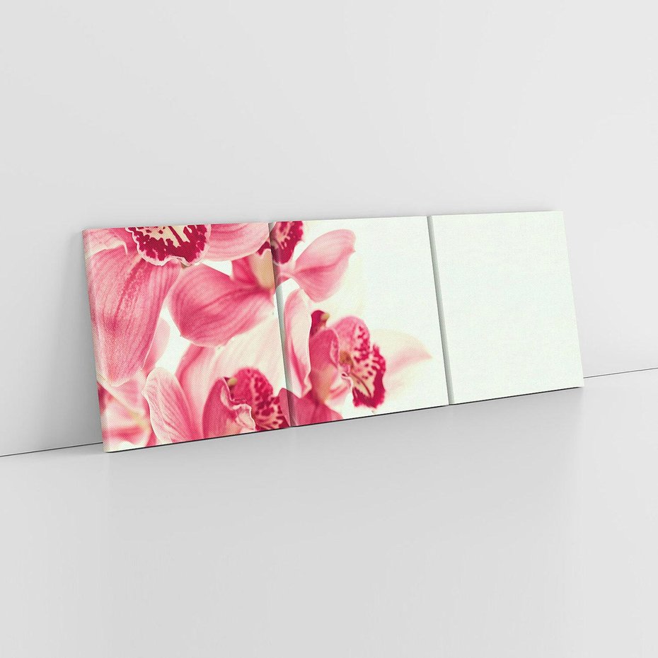 Obraz na płótnie 150x50 - Orchidea - delikatne kwiaty - orchidea, kwiaty