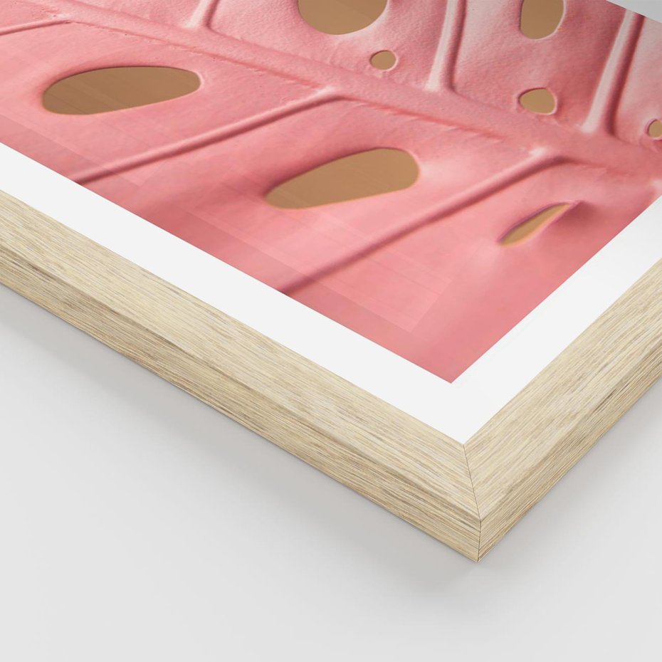 Plakat w ramie 30x40 - Różowy Liść Monstery - różowy liść monstery, nowoczesna fotografia - rama drewno