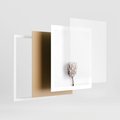 Plakat w ramie 40x50 - Suszona Roślina na Białym Tle - minimalizm, suszona roślina - rama biała