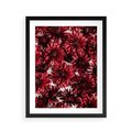 Plakat w ramie 40x50 - Energia Kwiatów - czerwone kwiaty, kompozycja - rama czarna