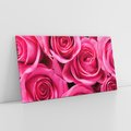 Obraz na płótnie 120x60 - Romantyczne róże w pełnym rozkwicie - róże, kwiaty