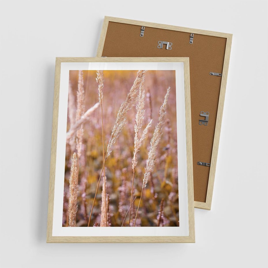 Plakat w ramie 50x70 - Sucha Trawa w Sierpniu - trawy, łąka - rama drewno