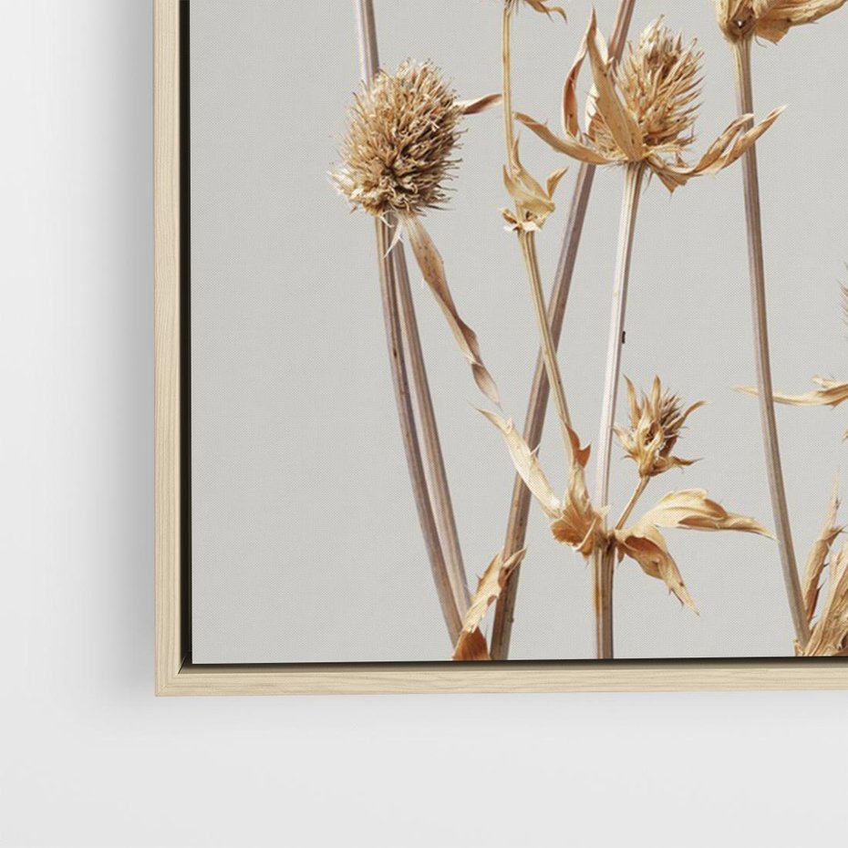 Obraz w ramie 100x70 - Delikatne gipsówki - gipsówka, suche - rama drewno