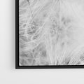 Obraz w ramie 50x70 - Zdmuchnięty Puch - dmuchawce, delikatne - rama czarna