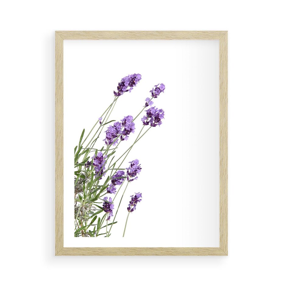 Plakat w ramie 50x70 - Delikatny Urok - lawenda, kwiaty - rama drewno