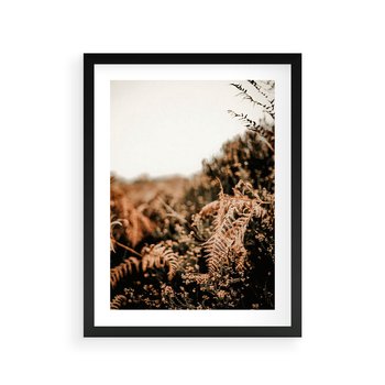 Plakat w ramie 40x50 - Jesienna Harmonia - suche paprocie, jesienny krajobraz - rama czarna