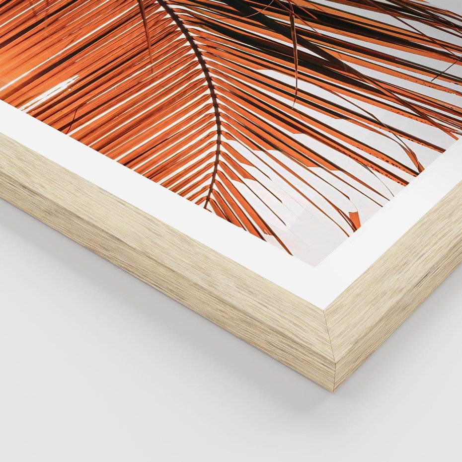 Plakat w ramie 50x70 - Słońce na Palmie - palma, promienie słońca - rama drewno