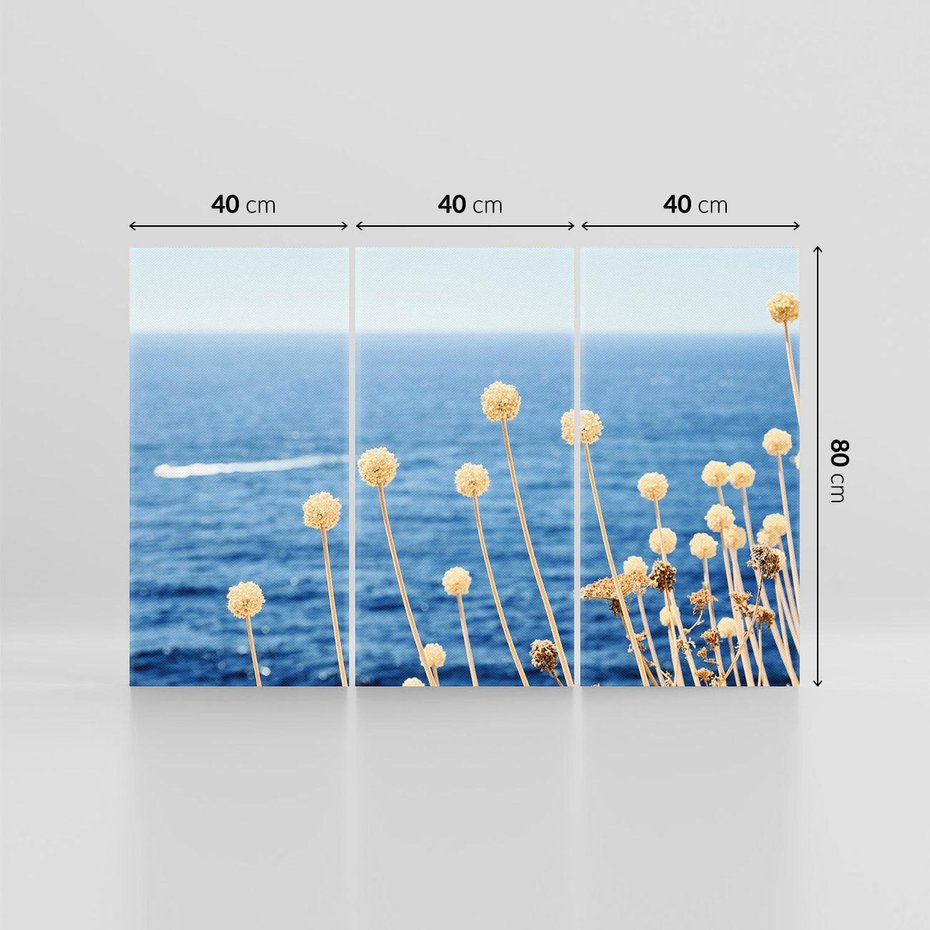 Obraz na płótnie 120x80 - Kontrasty Natury - fotografia, pierwszy plan sucha roślinność