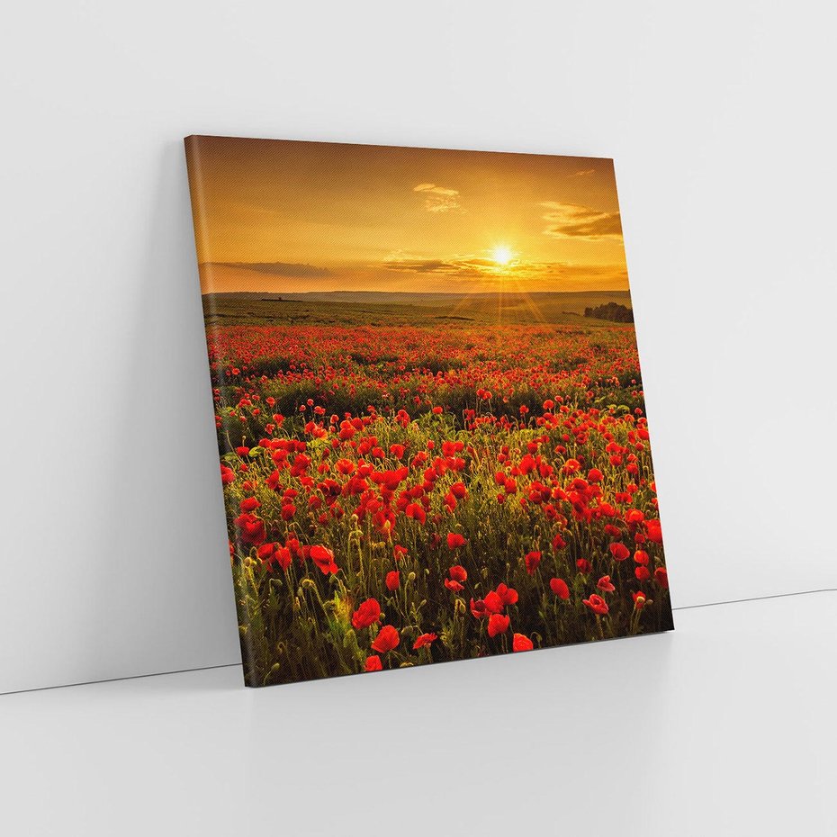 Obraz na płótnie 50x50 - Makowe uczucia - maki, kwiaty