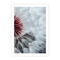 Plakat bez ramy 30x40 - Makro świat dmuchawca - dmuchawiec, makro