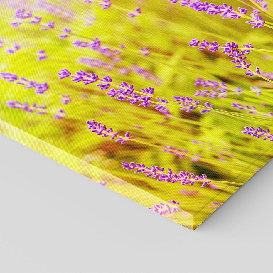 Obraz na płótnie 80x80 - Delikatność natury - lawenda, kwiaty