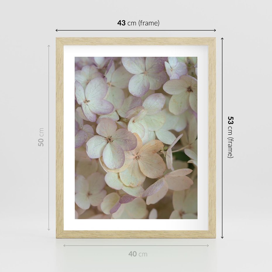 Plakat w ramie 40x50 - Kwiatowy taniec - kwiaty, hortensje - rama drewno
