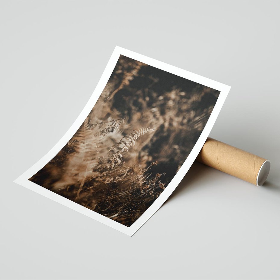 Plakat bez ramy 21x30 - Delikatne Detale - paprocie, brąz