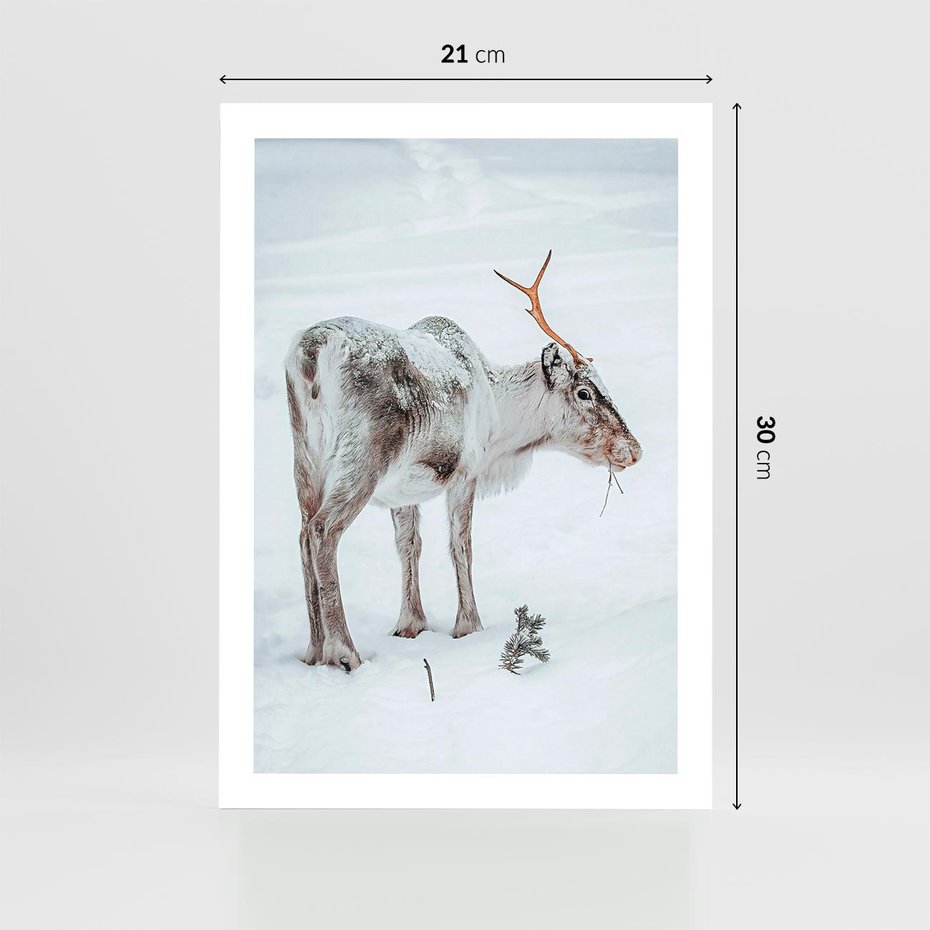 Plakat bez ramy 21x30 - Magia Świąt - renifer na śniegu, śnieg