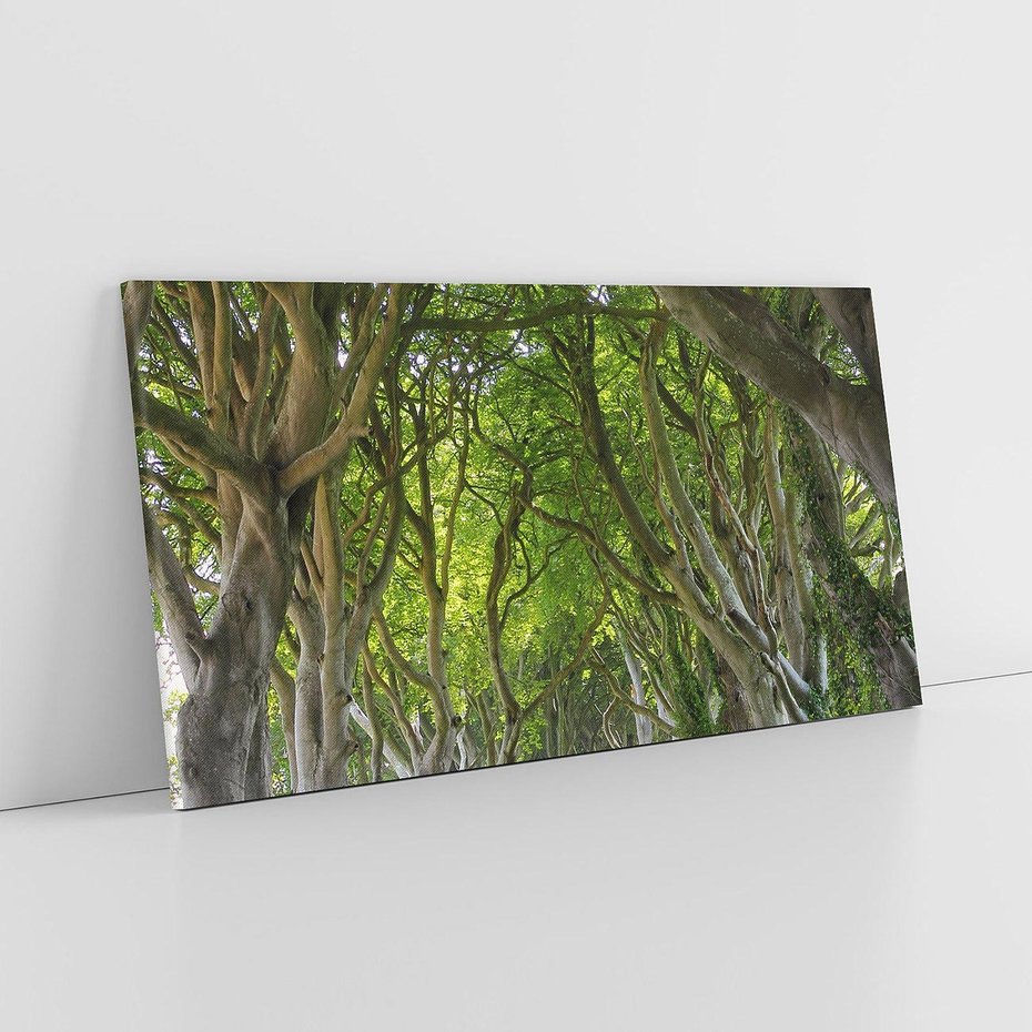 Obraz na płótnie 120x60 - Magiczny Las - drzewa, las