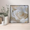Obraz w ramie 50x50 - Białe róże piękności - białe, róże - rama czarna