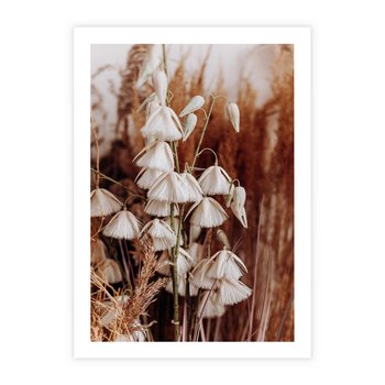 Plakat bez ramy 30x40 - Boho Styl z Suchymi Trawami - suche trawy, bogo styl