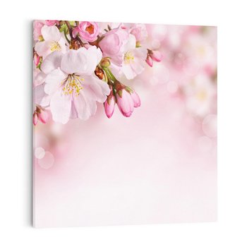 Obraz na płótnie 40x40 - Kwitnąca wiśnia: delikatność natury - kwitnąca, wiśnia