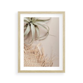 Plakat w ramie 40x50 - Aloes w Stylu Boho - kompozycja, wiklina - rama drewno
