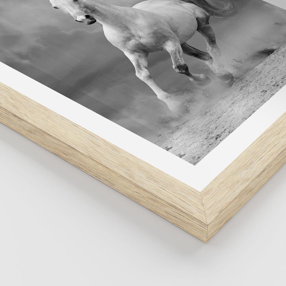 Plakat w ramie 50x70 - Elegancja w Czarno-Białym - koń, biało - rama drewno