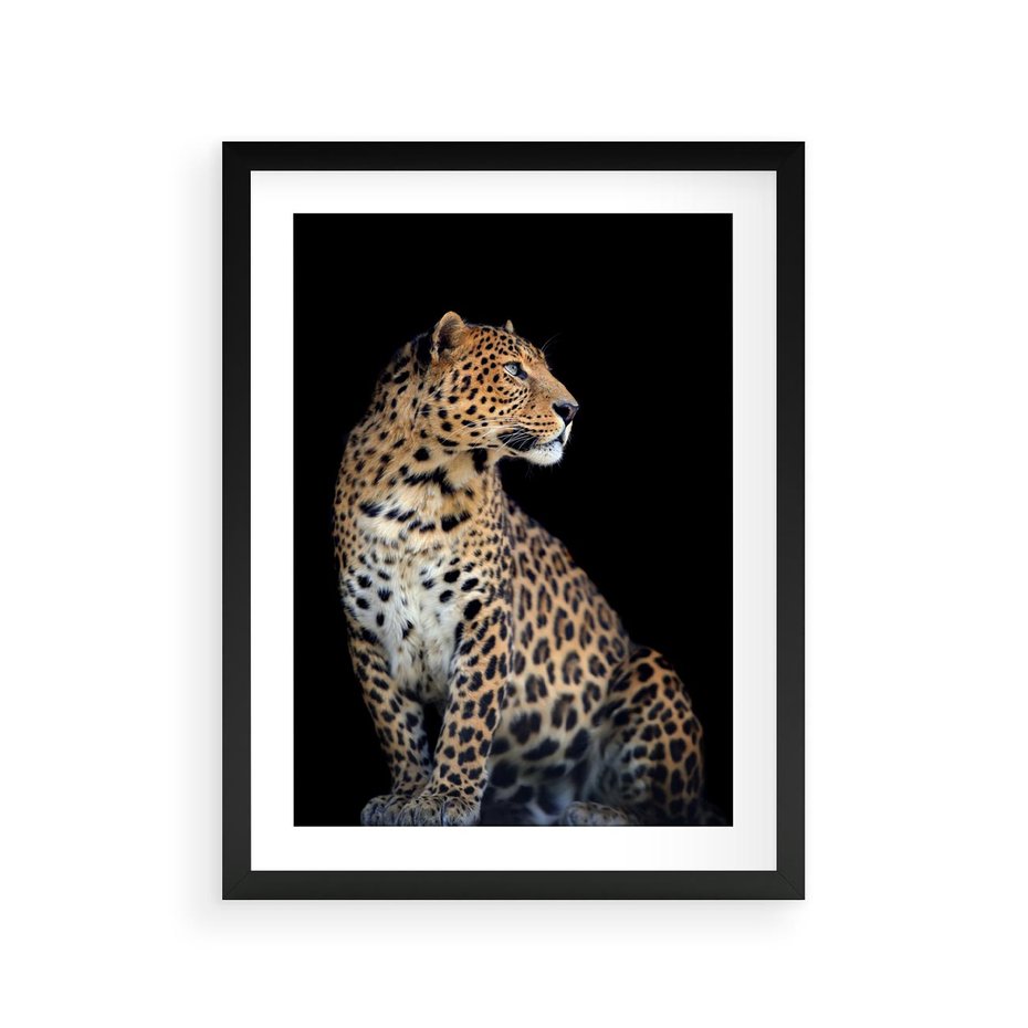 Plakat w ramie 30x40 - Elegancja Jaguarowej Pantery - jaguar, pantera - rama czarna