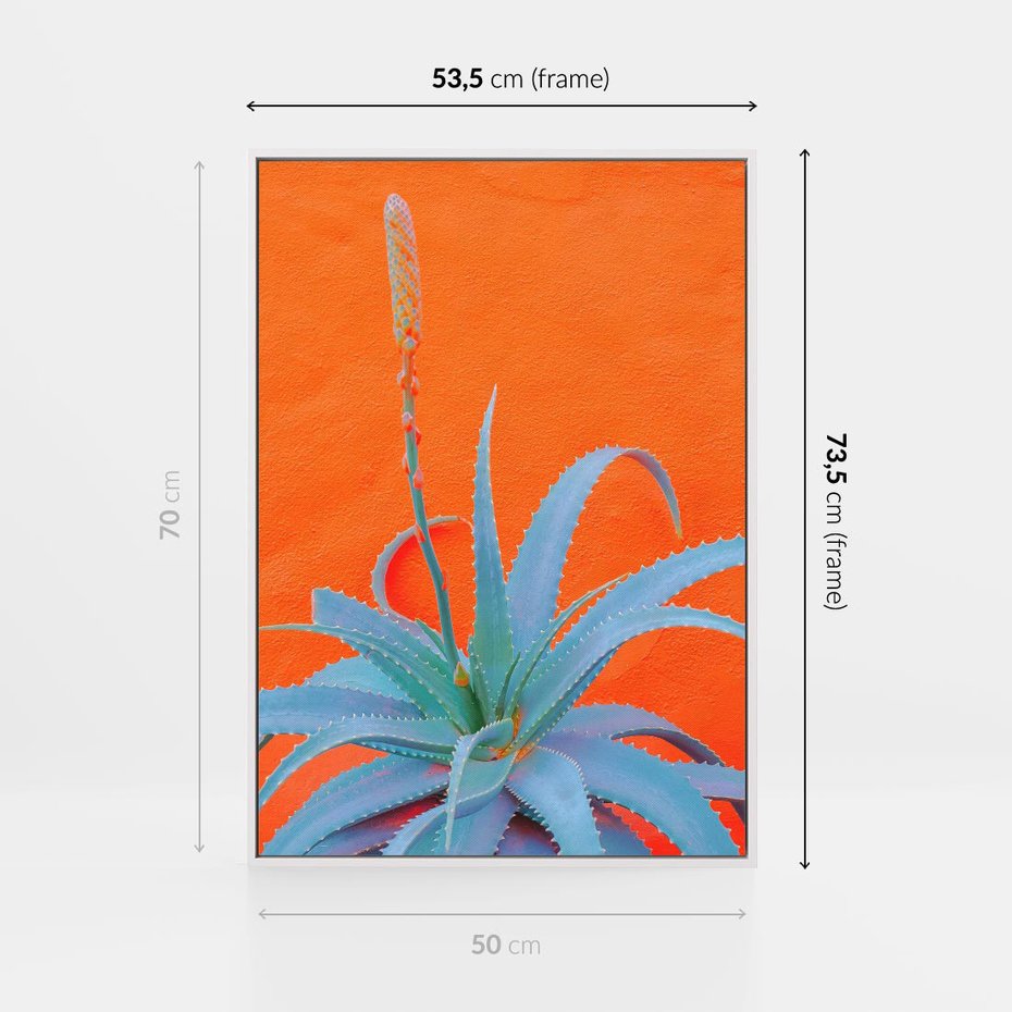 Obraz w ramie 50x70 - Naturalna Harmonia - kaktusy, liście - rama biała