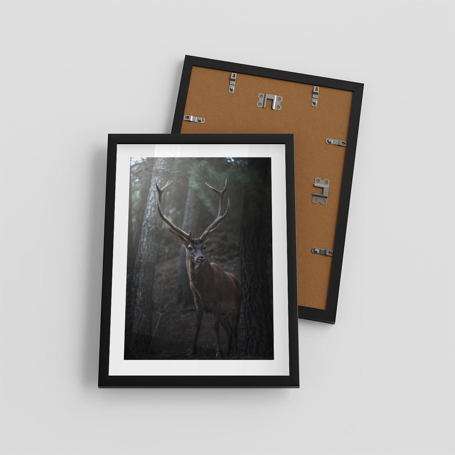 Plakat w ramie 30x40 - Jeleń wśród lasu - jeleń, las - rama czarna