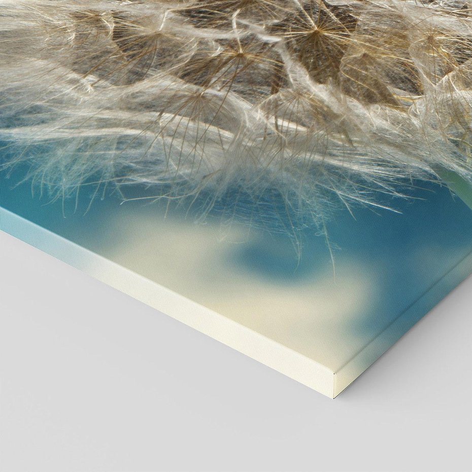 Obraz na płótnie 140x70 - Delikatność dmuchawców w pejzażu - dmuchawiec, kwiaty