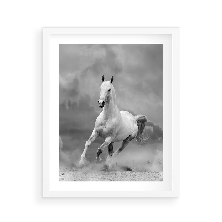 Plakat w ramie 40x50 - Elegancja w Czarno-Białym - koń, biało - rama biała