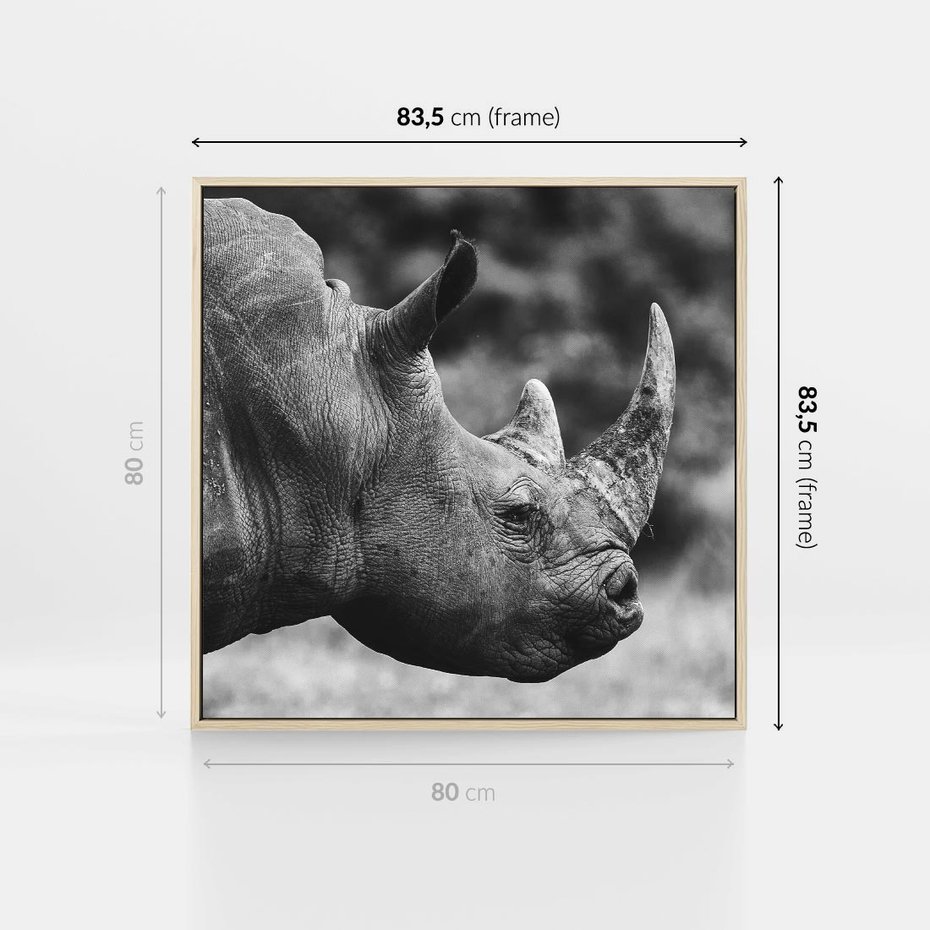 Obraz w ramie 80x80 - Potęga Afryki - czarno biała fotografia, zbliżenie na postać nosorożca - rama drewno