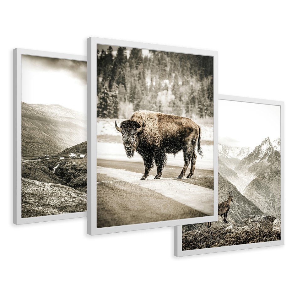 Zestaw obrazy w ramie 40x50 galeria - Góry, bizon, kozica - rama biała