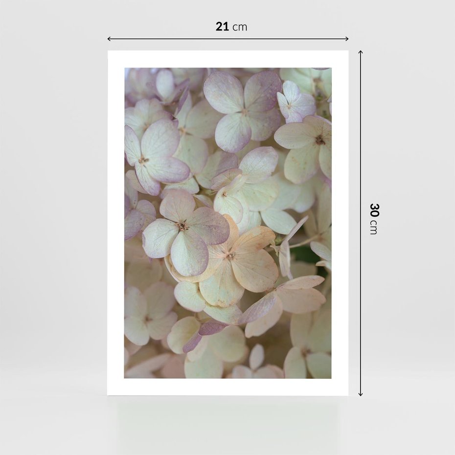 Plakat bez ramy 21x30 - Kwiatowy taniec - kwiaty, hortensje