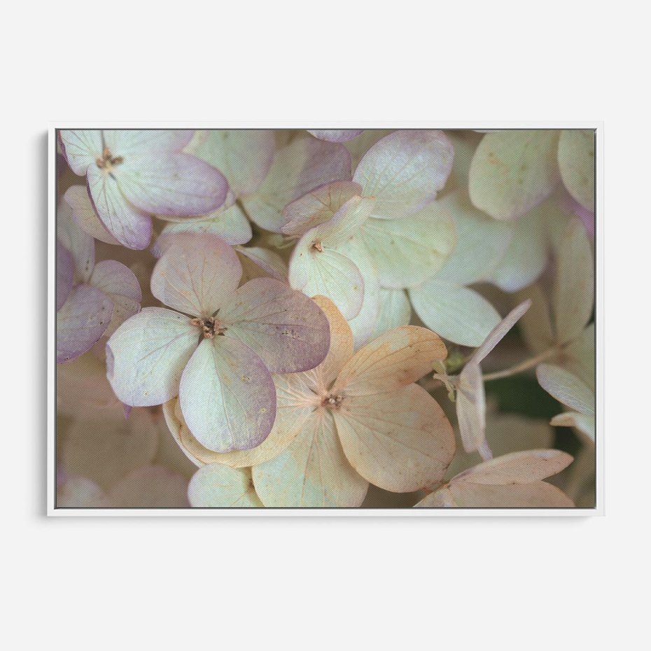 Obraz w ramie 120x80 - Kwiatowy taniec - kwiaty, hortensje - rama biała