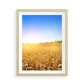 Plakat w ramie 50x70 - Żyzne Pola - pole, pszenicy - rama drewno