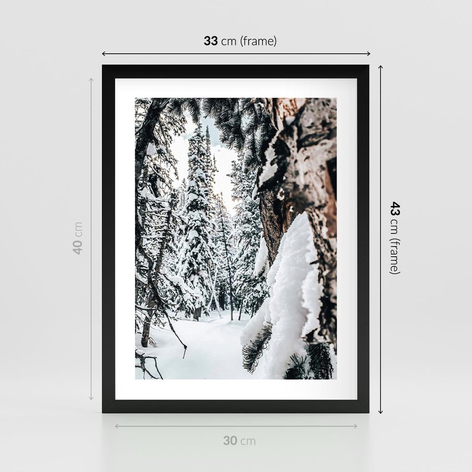 Plakat w ramie 30x40 - Drzewa pod Śniegiem - zima las, drzewa pod śniegiem - rama czarna