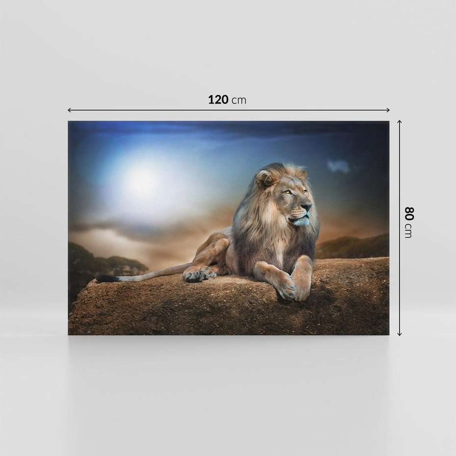 Obraz na płótnie 120x80 - Król sawanny - lew, kamień