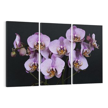 Obraz na płótnie 120x80 - Kwiatowy zachwyt pełen kolorów - kwiat, kwiaty