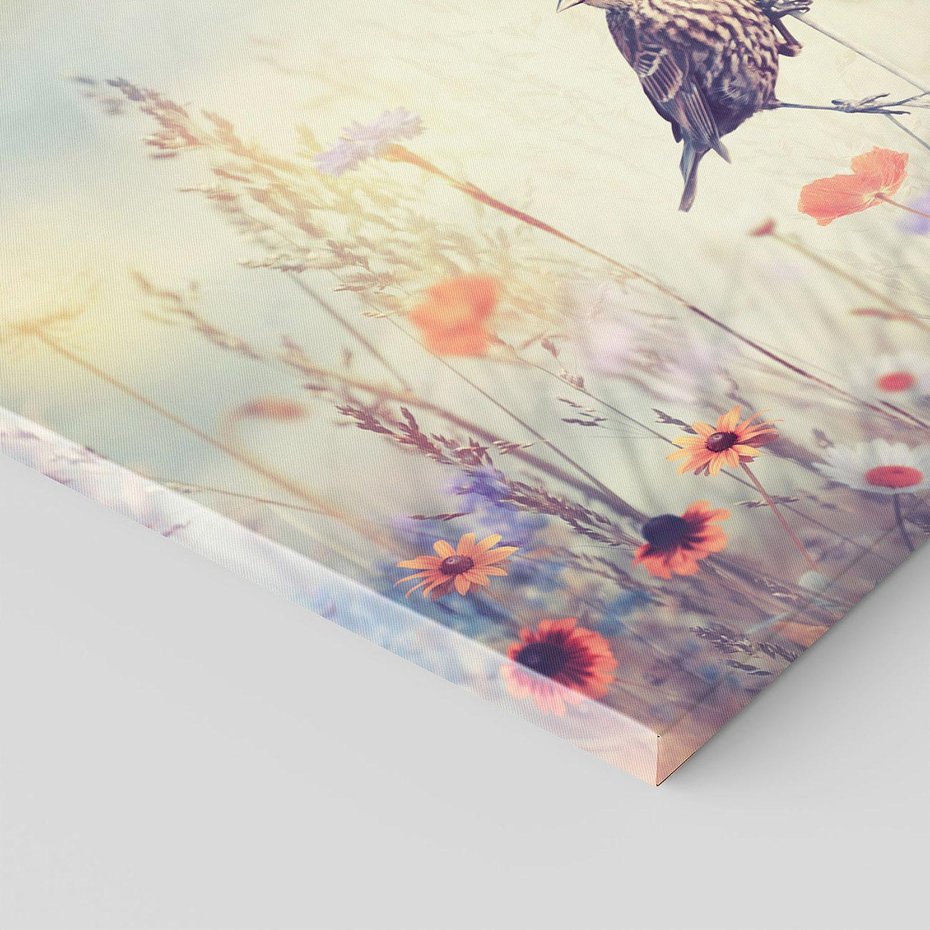 Obraz na płótnie 70x50 - Poranek wśród łąki - ptak, łąka