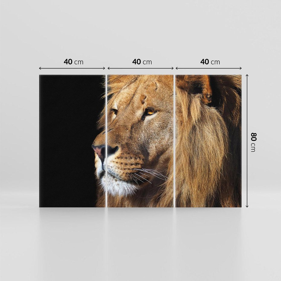 Obraz na płótnie 120x80 - Władca Dzikiej Przyrody - lew, król