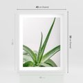 Plakat w ramie 40x50 - Zielone Piękno - aloes, liście - rama biała