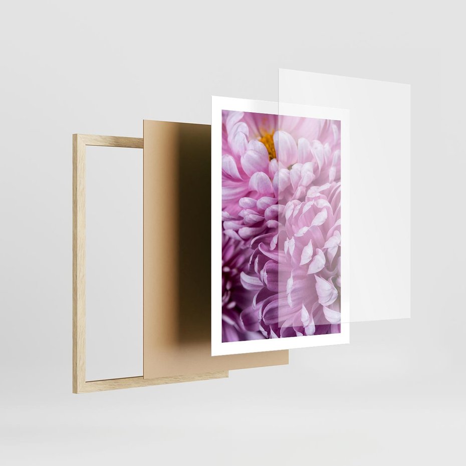 Plakat w ramie 50x70 - Fioletowy zawrót głowy - kwiat, różowy kwiat - rama drewno