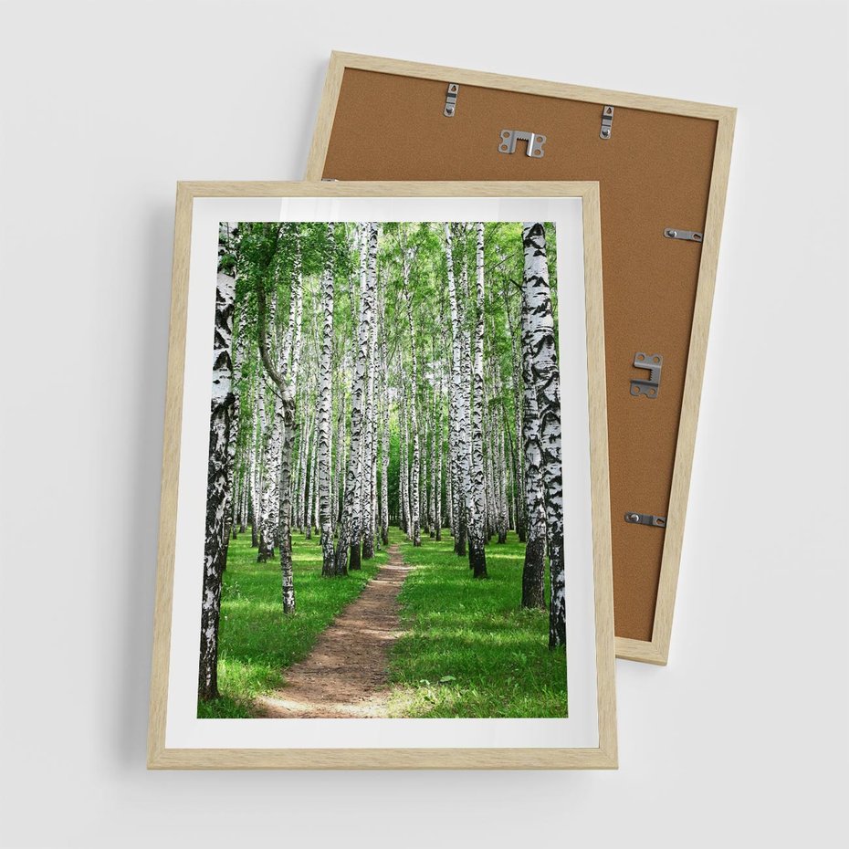 Plakat w ramie 50x70 - Bajkowy las pełen brzóz - las, brzozy - rama drewno
