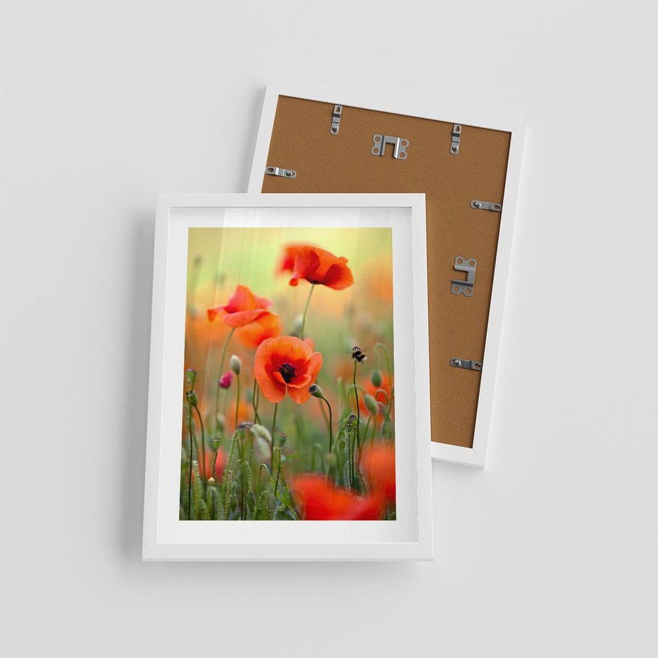 Plakat w ramie 30x40 - Makowa Pasja - maki, kwiaty - rama biała