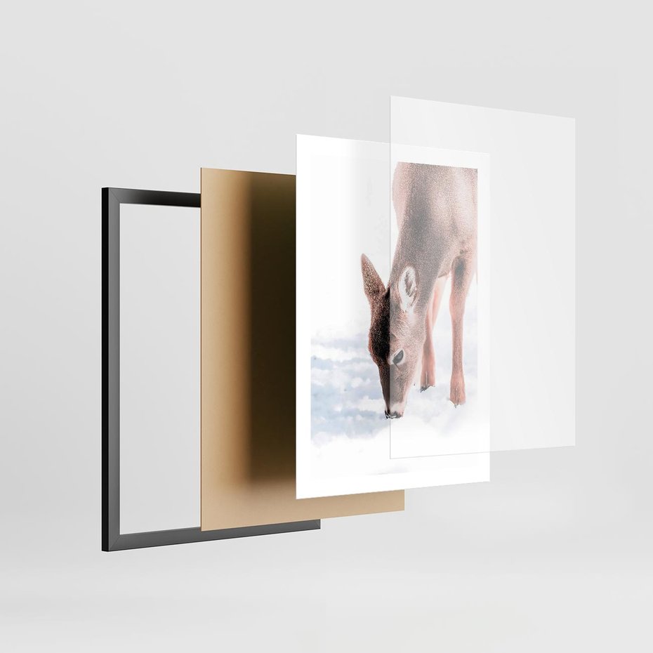 Plakat w ramie 50x70 - Sarna w Zimowym Raju - sarna, na śniegu - rama czarna