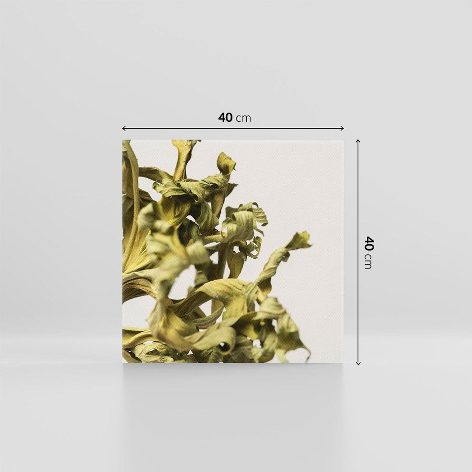 Obraz na płótnie 40x40 - Odejście pory deszczowej - suche, trawy