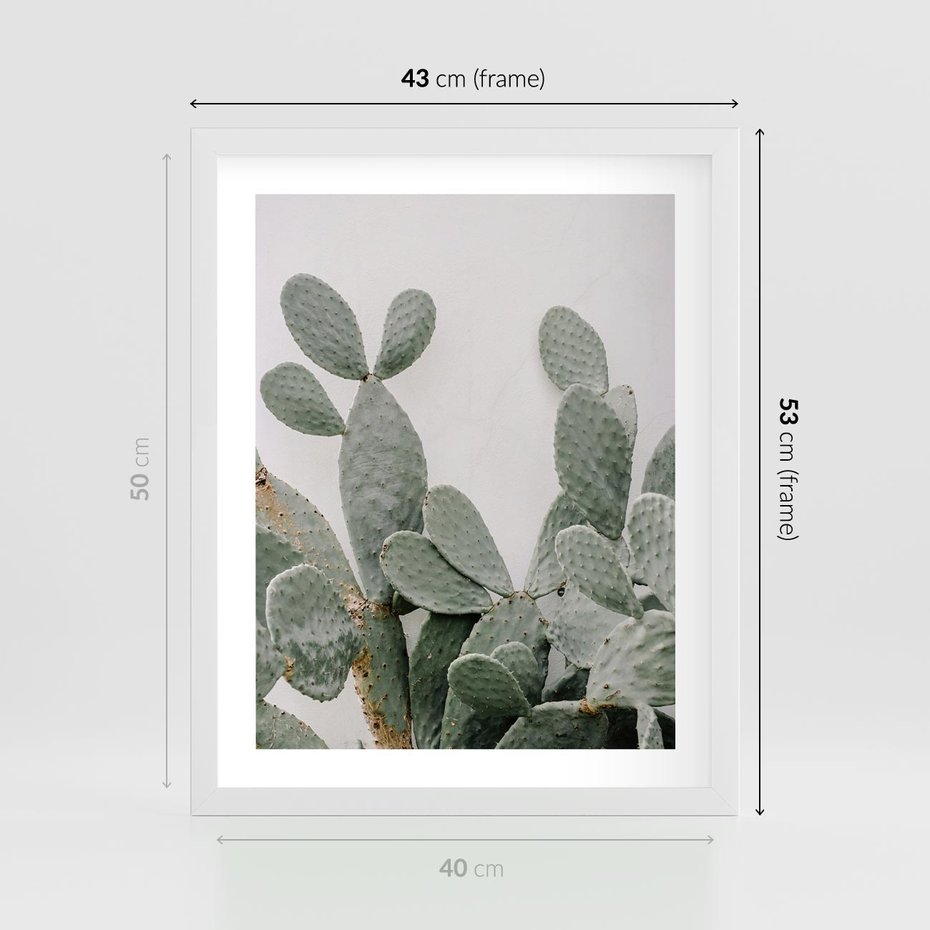 Plakat w ramie 40x50 - Imponujący Kaktus - duży kaktus, opuncja - rama biała