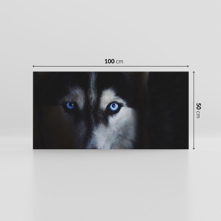 Obraz na płótnie 100x50 - Wilk i husky: siła przyjaźni - wilk, husky