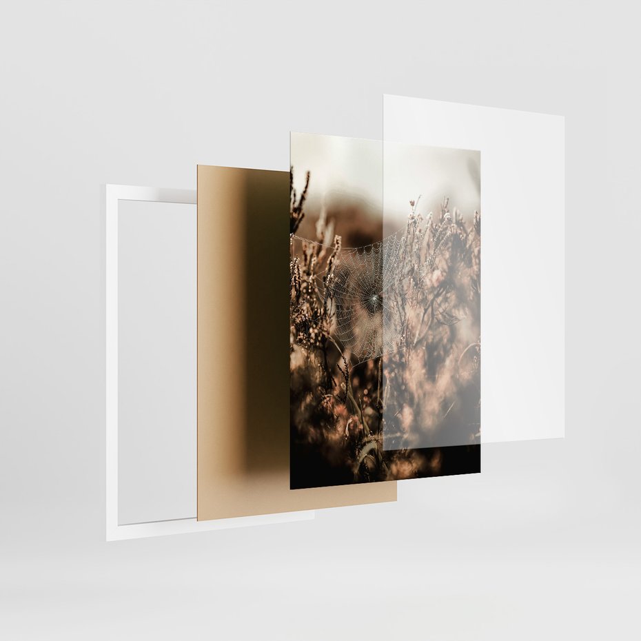 Zestaw obrazy w ramie 50x70 galeria - Boho, cytat, motywacja, trawy - rama biała