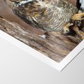Plakat bez ramy 30x40 - Tajemniczy Stróż - sowa, las